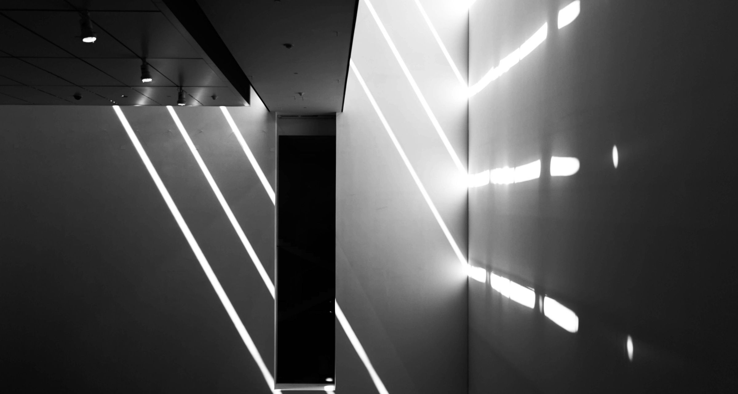 디자인 인사이트 디자인 인사이트
